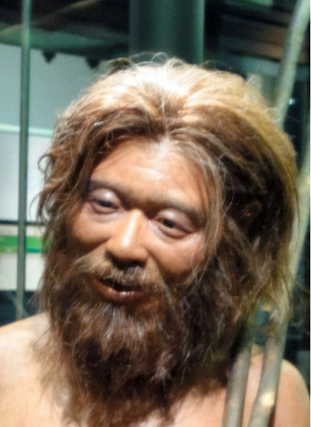 【沖縄本・科学】港川人の時代とその後 博物館特別展「港川人の時代とその後－琉球弧をめぐる人類史の
